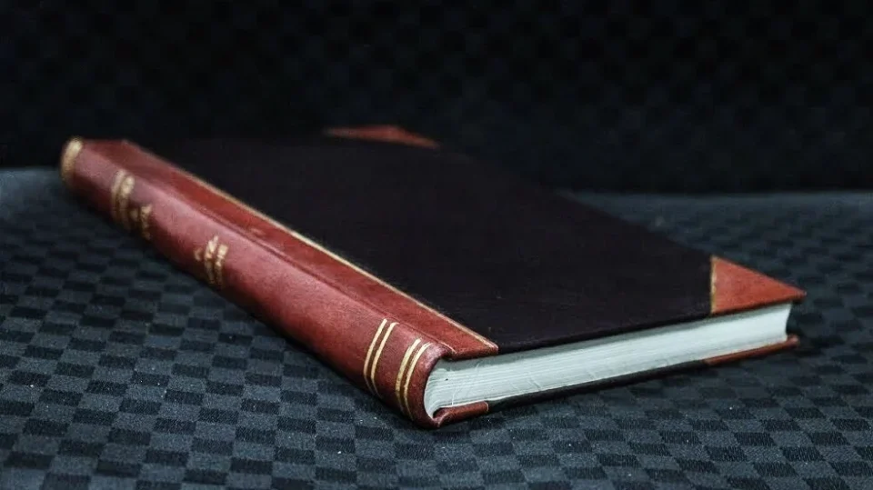 Cast Iron Lightweight Jack and Jill : a village story / by Louisa M. Alcott (1920) [Leatherbound]